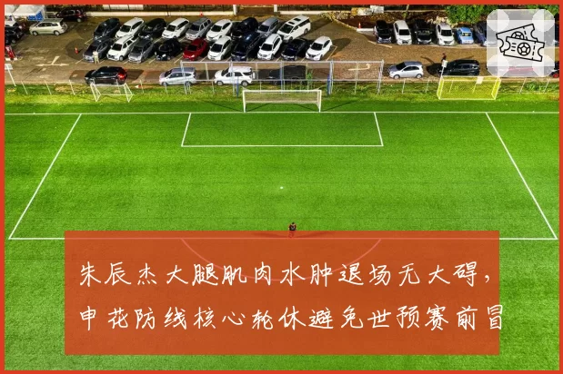 朱辰杰大腿肌肉水肿退场无大碍，申花防线核心轮休避免世预赛前冒险